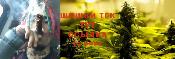 мдпв Новодвинск