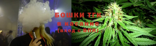 мдпв Новодвинск