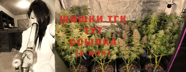 молекула духа Няндома