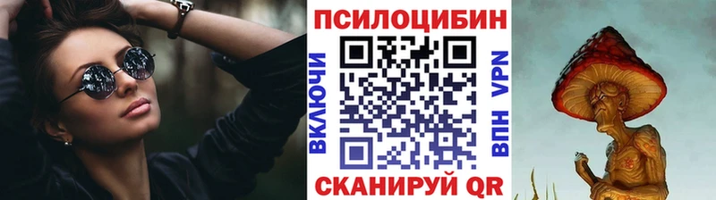 Галлюциногенные грибы Psilocybe продажа наркотиков Константиновск